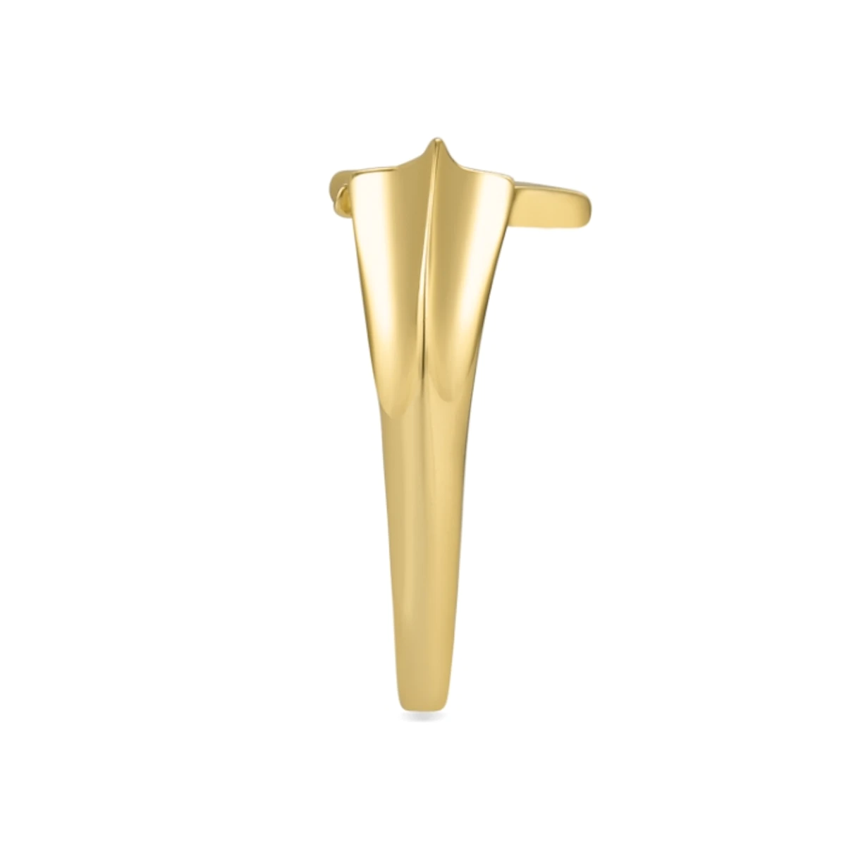 ANILLO_RAHLY_Z2012Y00_02_5