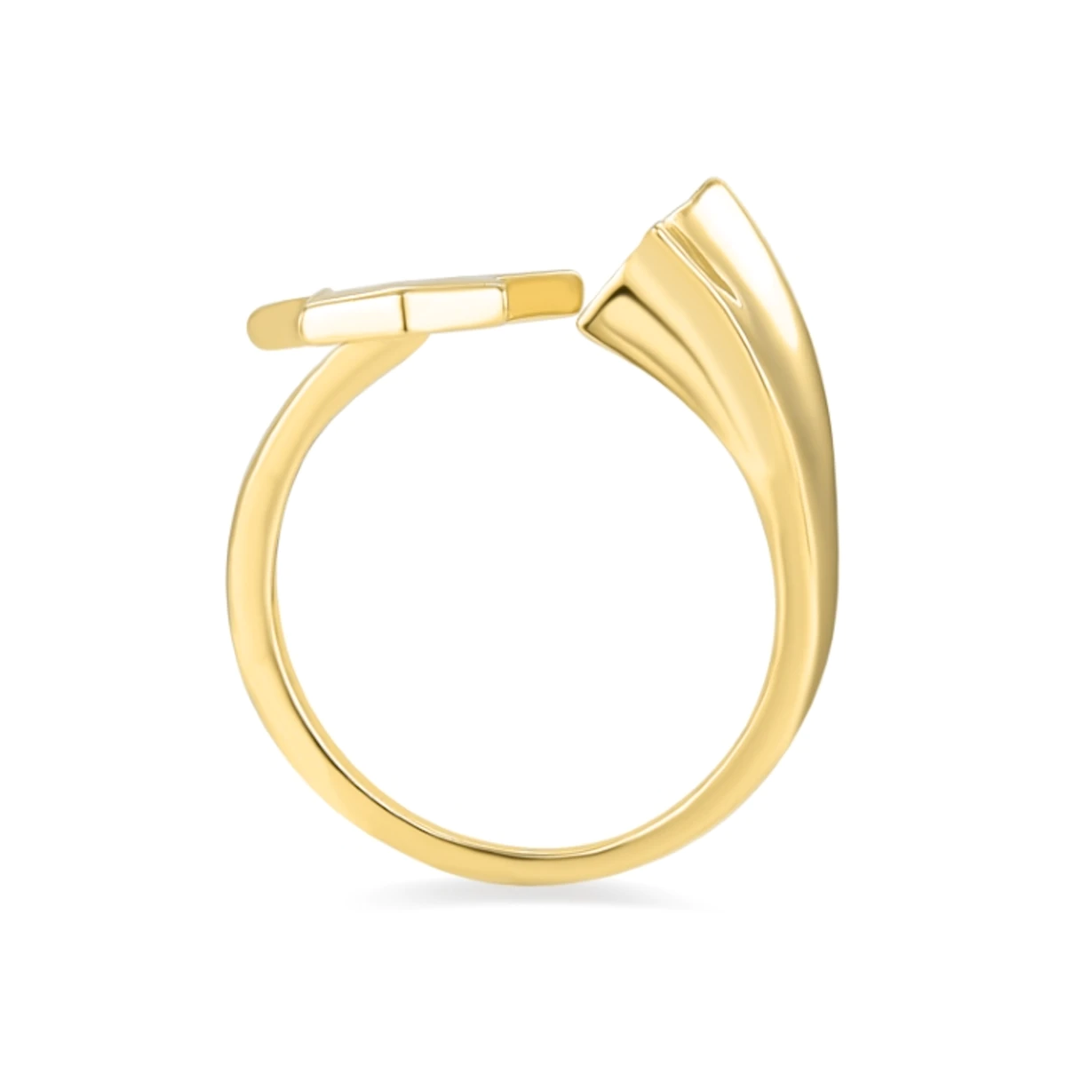 ANILLO_RAHLY_Z2012Y00_04_6